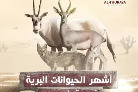 أشهر الحيوانات البرية في قطر